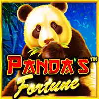 pp image